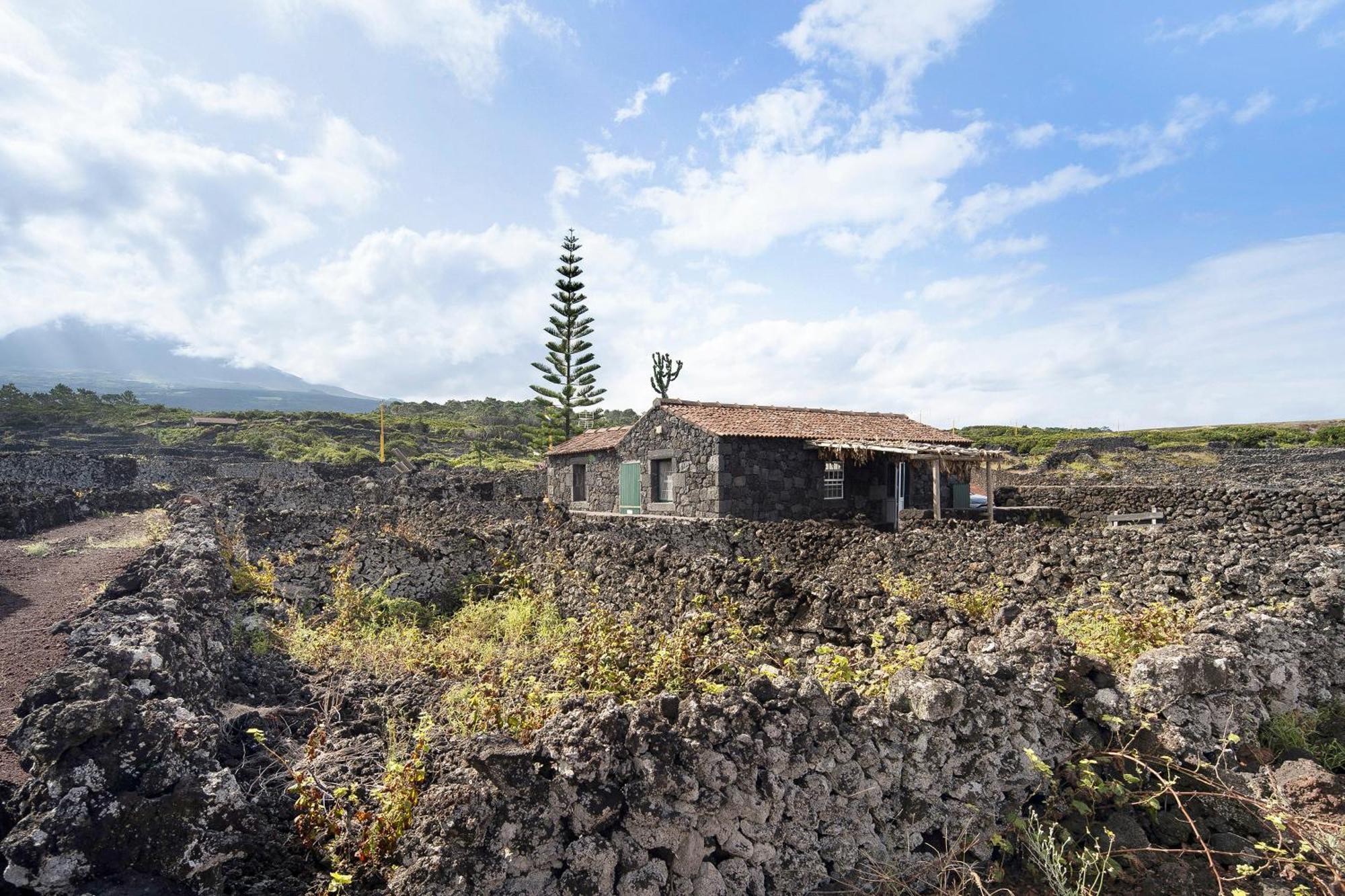 Adega Maciel Holiday home Lajido